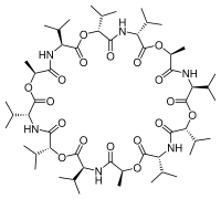 Skeletal formula of valinomycin