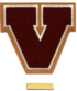 Varsity Scout Letter and Bar.png