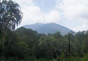 Mount Bisoke