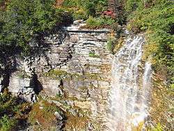 A waterfall in a wooded area against striated grayish rock