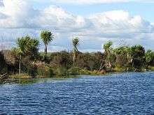 Whangamarino Wetland from the Reao Stream alt text