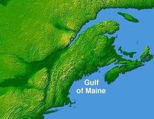 A topographical map depicting the Gulf of Maine region, with the land being coloured green. Visible are the Northeastern United States, Nova Scotia, New Brunswick, and southeastern Quebec