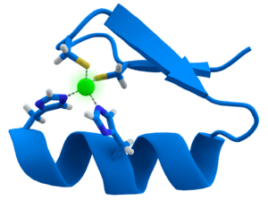 A twisted band, with one side painted blue and another gray. Its two ends are connected through some chemical species to a green atom (zinc).