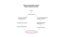 Figure idea taken from Muralidharan et al 2013