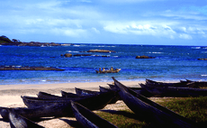 a dozen black wooden canoes on the sand of a vast bay