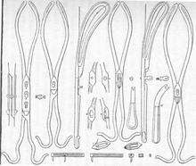 the first illustration of Levret's pelvic curve